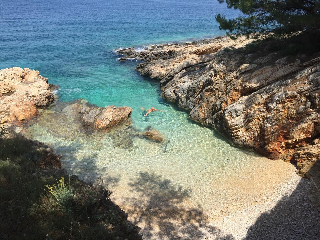 Apartment Maestral Rogač Zewnętrze zdjęcie